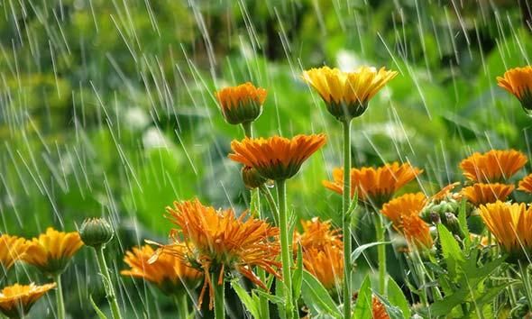 ગુજરાત વરસાદ અપડેટ: ગુજરાતમાં જોરદાર વરસાદ ક્યારથી થશે, ગુજરાત વરસાદ અપડેટ, વરસાદ અપડેટ, ગુજરાતમાં જોરદાર વરસાદ ક્યારથી થશે , જોરદાર વરસાદ ક્યારથી થશે , જોરદાર વરસાદ ગુજરાત વરસાદ અપડેટ: ગુજરાતમાં જોરદાર વરસાદ ક્યારથી થશે, ગુજરાત વરસાદ અપડેટ, વરસાદ અપડેટ, ગુજરાતમાં જોરદાર વરસાદ ક્યારથી થશે , જોરદાર વરસાદ ક્યારથી થશે , જોરદાર વરસાદ