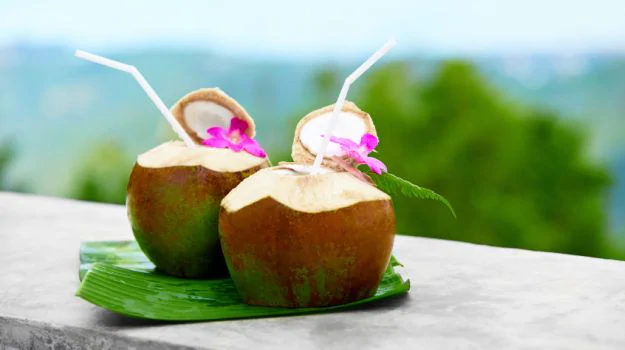 benefits of drinking , coconut water pregnancy , best drinki, coconut, benefits coconut water benefits of drinking , coconut water pregnancy , best drinki, coconut, benefits coconut water