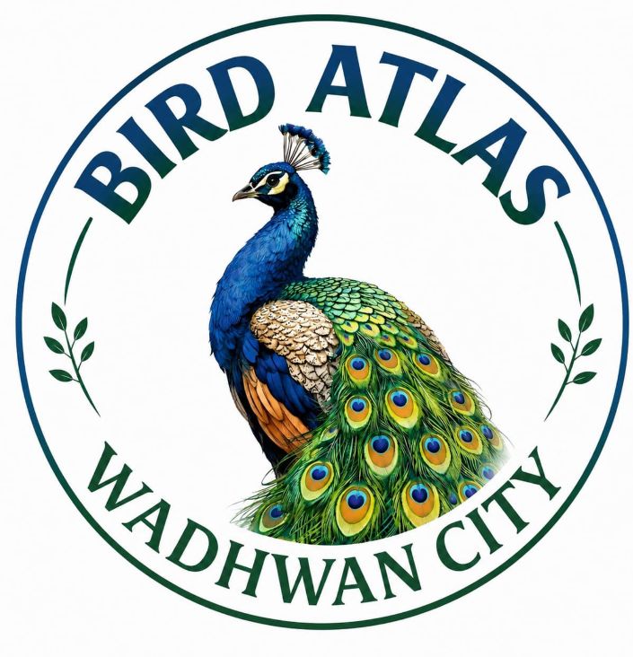 Wadhwan City Bird Atlas 2026,  Wadhwan Bird Atlas,  Gujarat Bird Atlas,  Saurashtra Bird Atlas,  Citizen Science Gujarat,  Bird Conservation Gujarat,  Biodiversity Documentation,  Bird Species Survey,  Wildlife Conservation Gujarat,  Ahmedabad University Bird Atlas