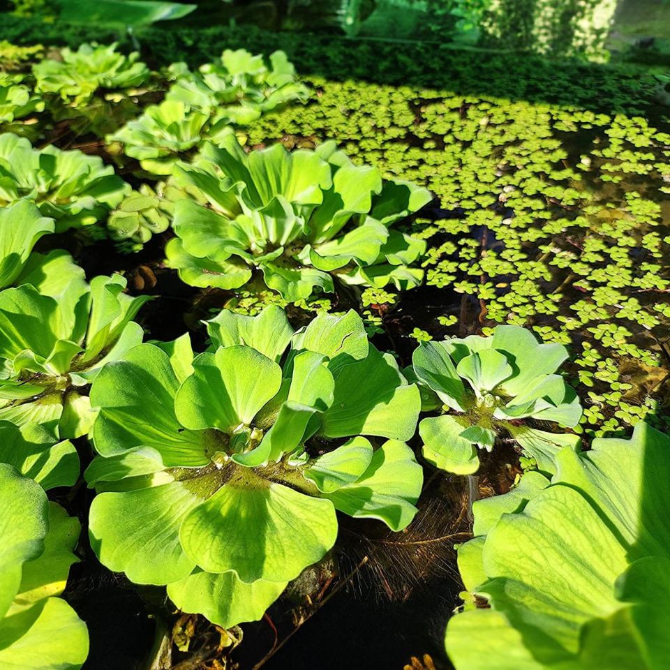 Mihika Industries: ભારતની વૃદ્ધિશીલ સ્ટોક માર્કેટની પ્રકાશક Mihika Industries: ભારતની વૃદ્ધિશીલ સ્ટોક માર્કેટની પ્રકાશક