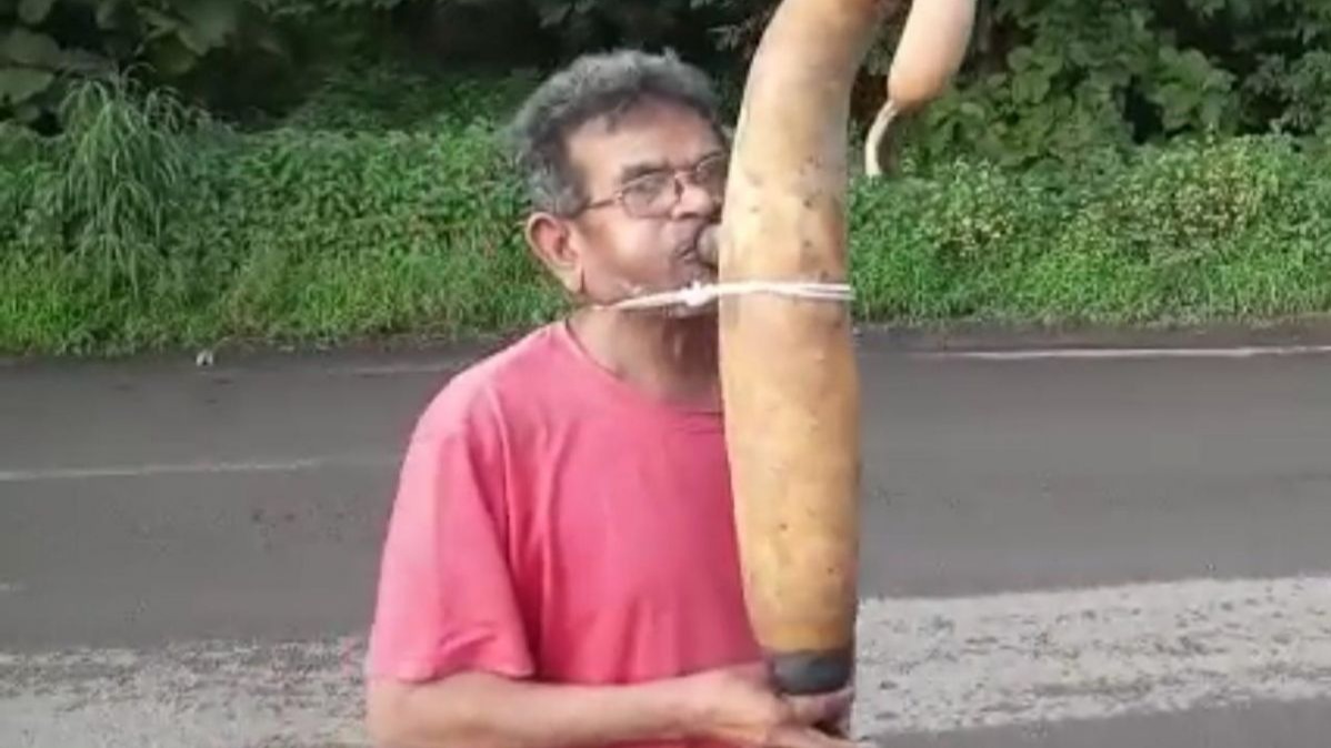 આદિવાસી, ગુજરાત આદિવાસી, આદિવાસીઓ