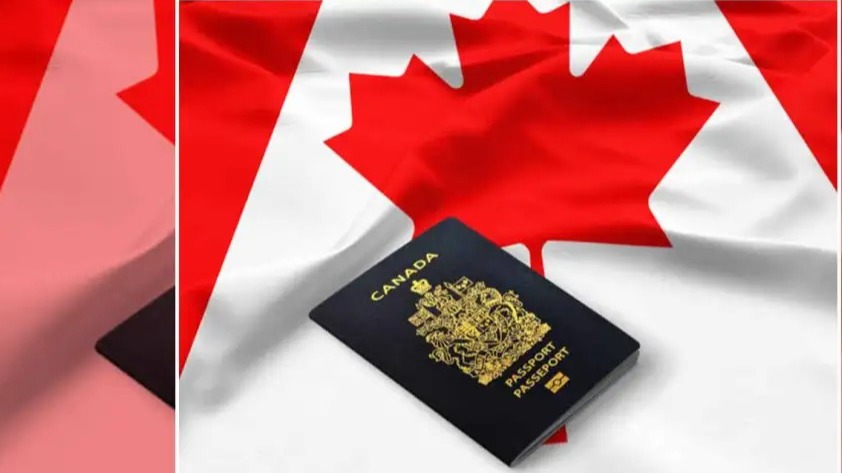 IELTS કૌભાંડ: ગુજરાતમાં મુખ્ય આરોપીઓ સામે લુકઆઉટ નોટિસ જારી,  ત્રણની અટકાયત