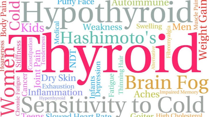 થાઇરોઇડ, મેટાબોલિક રેટને , હોર્મોન્સ, ગર્ભાવસ્થા