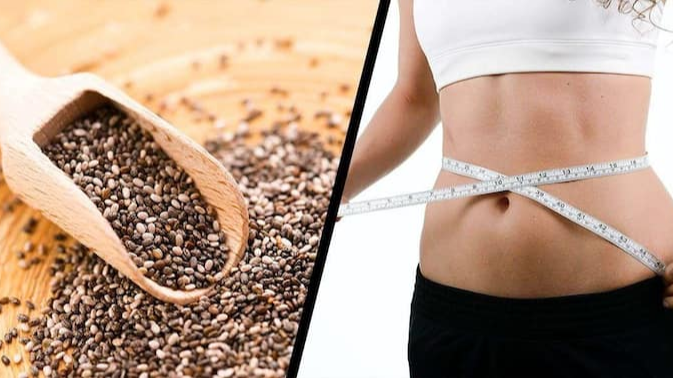 ચિયા બીજ: સારા સ્વાસ્થ્ય માટેનું સત્ય , ચિયા બીજ, સારા સ્વાસ્થ્ય માટેનું સત્ય , ચિયા બીજના આરોગ્ય લાભ