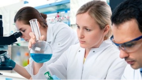 વૈશ્વિક અર્થતંત્ર , શેરબજારના આંતરરાષ્ટ્રીય ટ્રેન્ડ