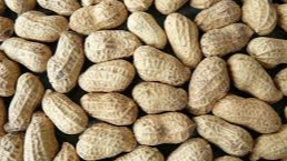 મગફળી, પાચન, યુરિક એસિડ, વજન, હાઈ બ્લડ પ્રેશર