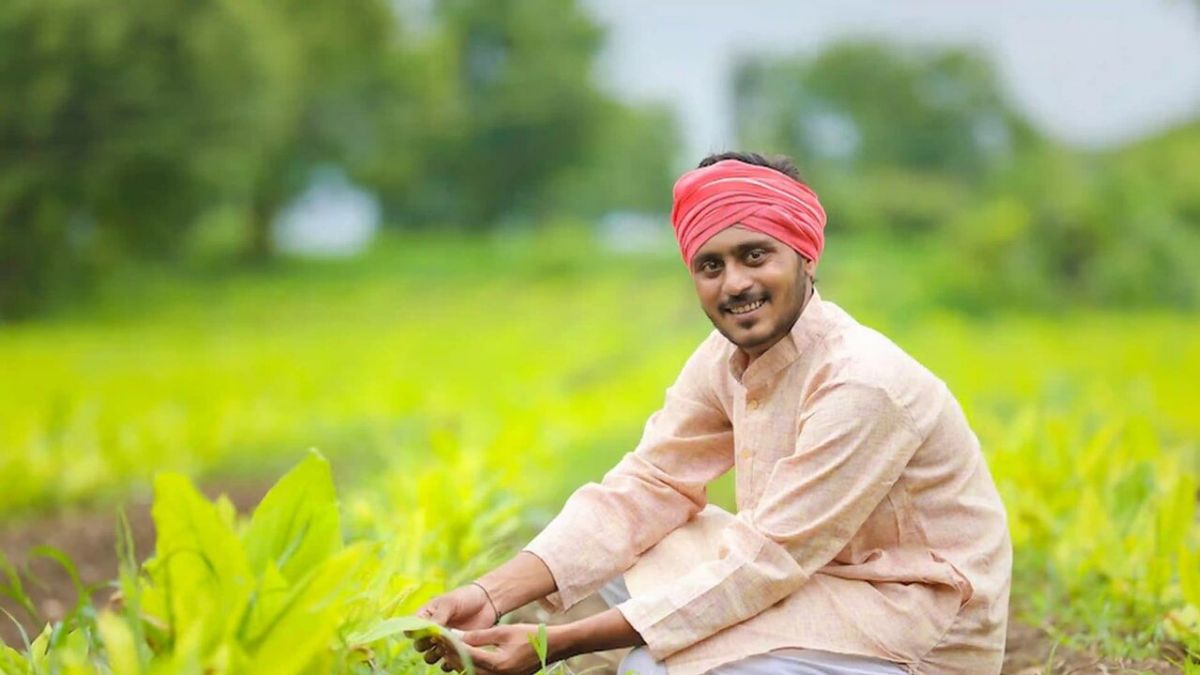 PM-KISAN 19મો હપ્તો, પીએમ કિસાન યોજના, ₹2000 હપ્તો,  ખેડૂતો માટે સહાય, PM-KISAN eKYC, PM-KISAN પોર્ટલ