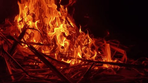 નાગપુર હિંસા,  ફહીમ ખાન ધરપકડ,  માઇનોરિટી ડેમોક્રેટિક પાર્ટી,  નાગપુર શહેર પ્રમુખ,  પોલીસ કસ્ટડી,  નીતિન ગડકરી,  નાગપુર ચૂંટણી,  FIR,  બજરંગ દળ,  વિશ્વ હિન્દુ પરિષદ