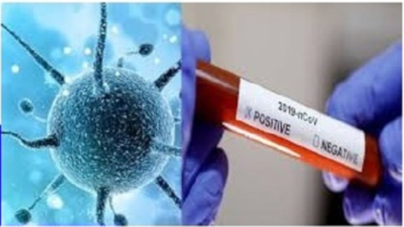 CoronaUpdateGujarat coronavirus corona gujarat corona_positive