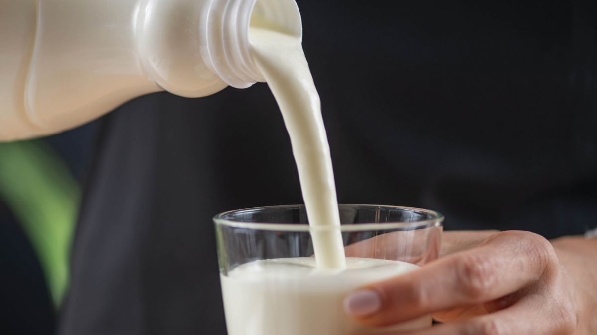 દૂધ સંઘ,  પંચમહાલ ડેરી,  દૂધ સંપાદન,  દૂધ ઉત્પાદન,  દૂધજન્ય ઉત્પાદનો,  ગુજરાત ડેરી ઉદ્યોગ,  ખેડૂત આવક,  નિકાસ,  ઘી,  દહીં