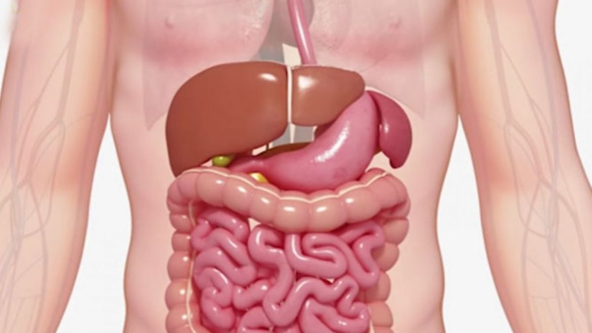 જો તમારી નબળી પાચનશક્તિ હોય તો આ ખાઓ..મળશે જબરદસ્ત ફાયદા