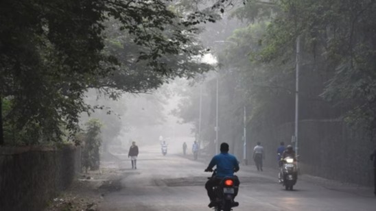 ગુજરાત ઠંડી સમાચાર,  ગુજરાતમાં ઠંડીની લહેર,  નાલિયા તાપમાન,  રાજકોટ કૂલિંગ,  ગુજરાત હવામાન અપડેટ,  ઠંડીના સમાચાર,  ગુજરાતી હવામાન,  તાપમાન નીચે,  શહેરવાસીઓ માટે ઠંડી,  ગુજરાત મોસમ વિભાગ