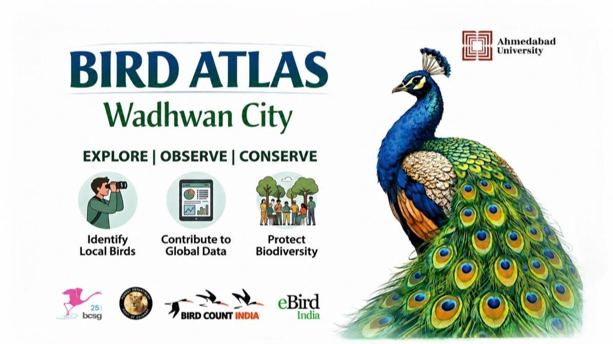 Wadhwan City Bird Atlas 2026,  Wadhwan Bird Atlas,  Gujarat Bird Atlas,  Saurashtra Bird Atlas,  Citizen Science Gujarat,  Bird Conservation Gujarat,  Biodiversity Documentation,  Bird Species Survey,  Wildlife Conservation Gujarat,  Ahmedabad University Bird Atlas