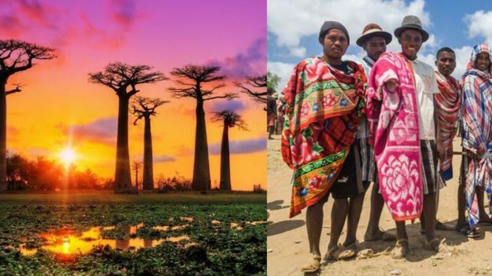 Madagascar, International Story, World, Interesting, Fun Fact