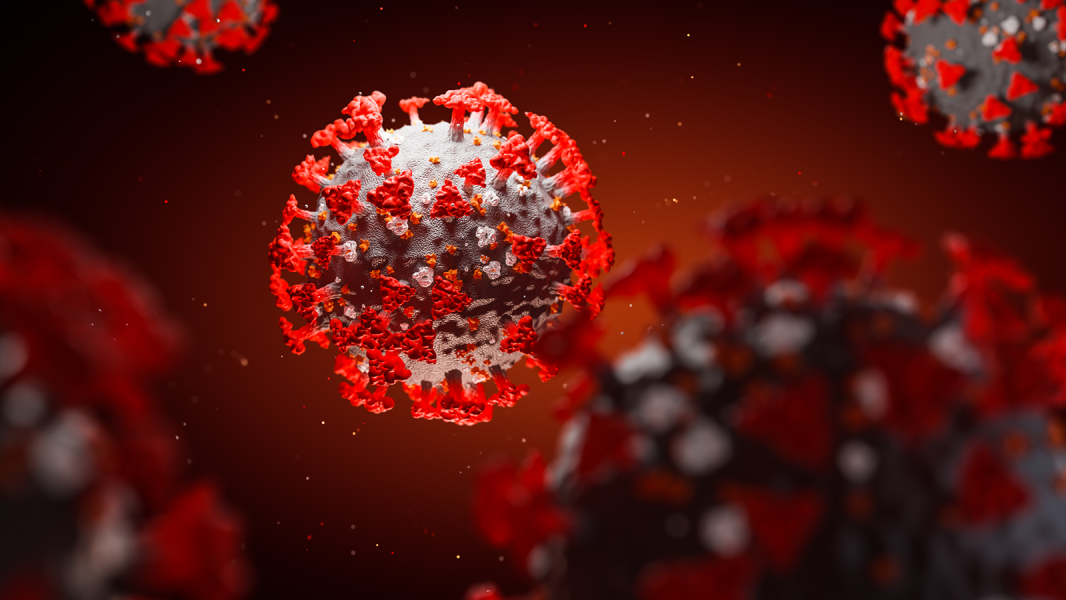 કોરોના,  ઐતિહાસિક, હોસ્પિટલો ભરચક, ભારત, ઓનલાઈન કલ્ચર,  વેબિનાર,  ઝૂમ-ગૂગલ મીટ