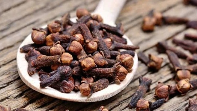 લવિંગ, ઉકાળો, મોંઢાની દુર્ગંધ, દાંતોનો દુખાવો, એન્ટીબેક્ટેરિયલ પ્રોપર્ટીઝ