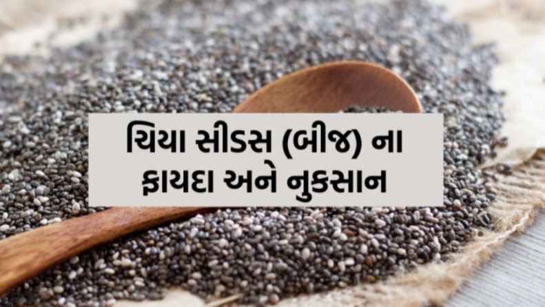ચિયા સિડસ