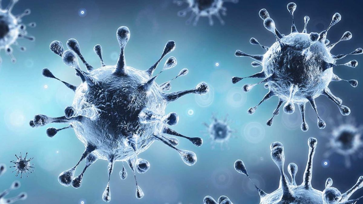 corona, coronavaccine, coronavaccinenews, coronanews, Vaccine experiment, government